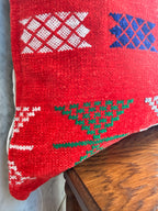 Amazigh Pillow Cover | Soft Velour | PV08