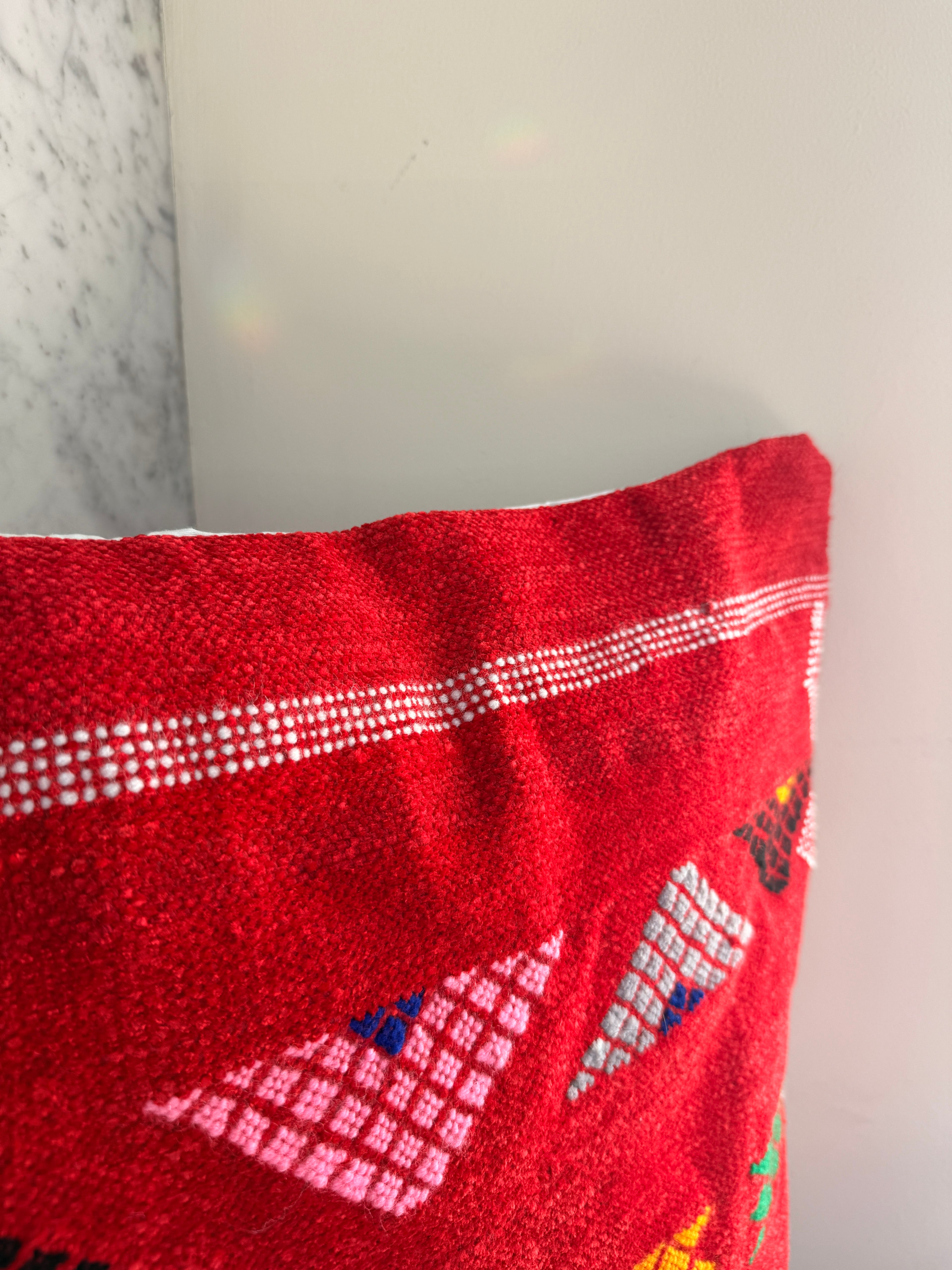Amazigh Pillow Cover | Soft Velour | PV08